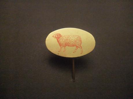 Ram ( mannetjes schaap)